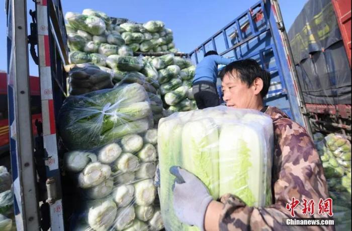 资料图：10月30日，山西太原河西蔬菜批发市场，商贩整理待售的冬储菜。武俊杰 摄